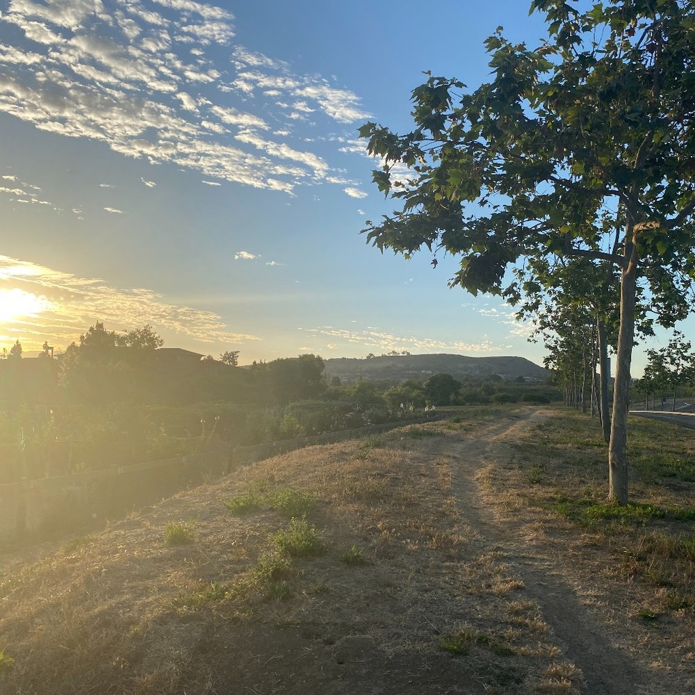 Meet your Posher, Victor